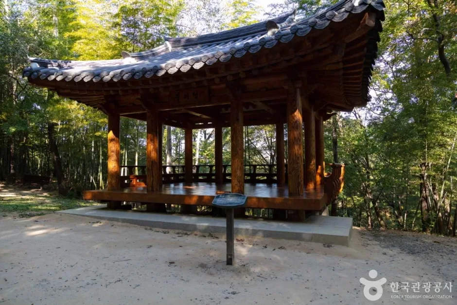 죽녹원 (5)
