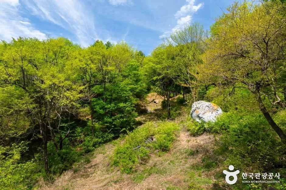 경기_양평_설매재자연휴양림_외부_3.jpg