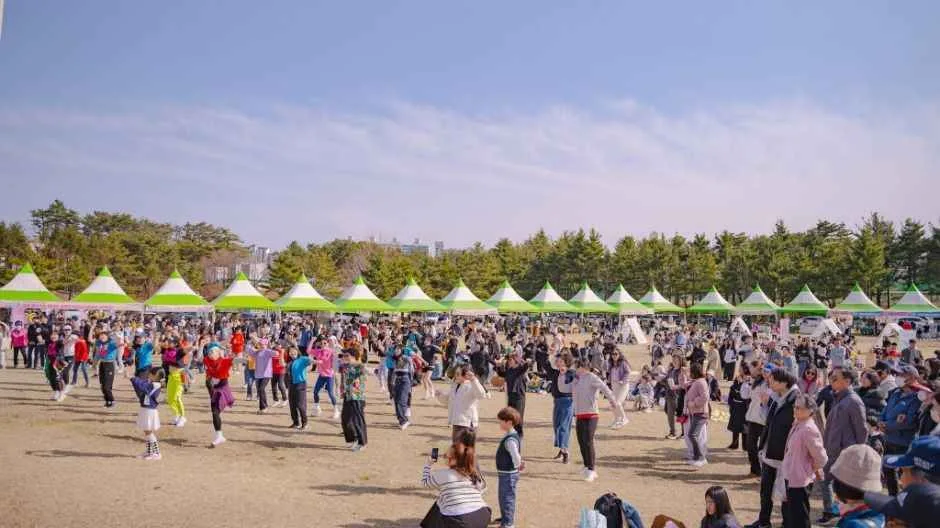 2026 영랑호 벚꽃축제 (1).jpg