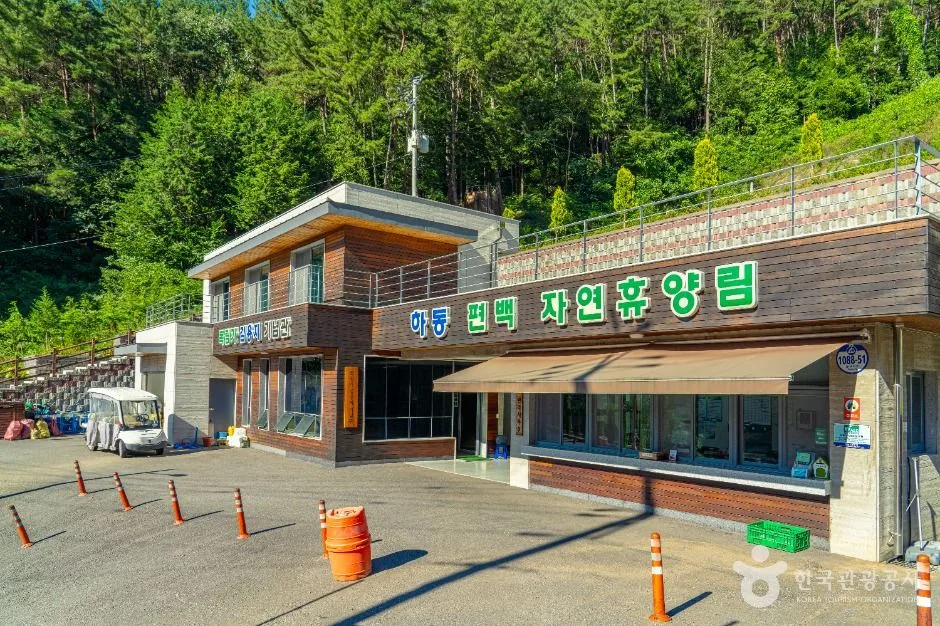 하동_하동 편백자연휴양림 (3)