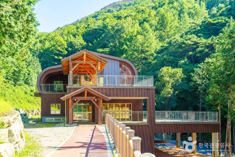 하동_하동 편백자연휴양림 (5)