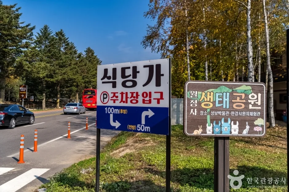 오대산먹거리마을 (12)