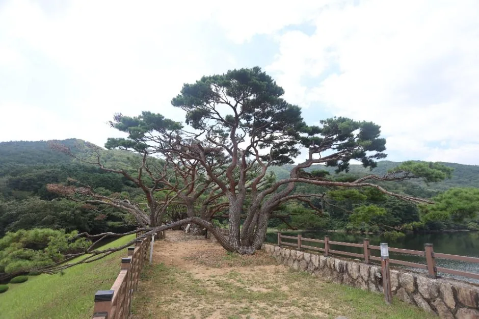 양산_법기수원지 (3)