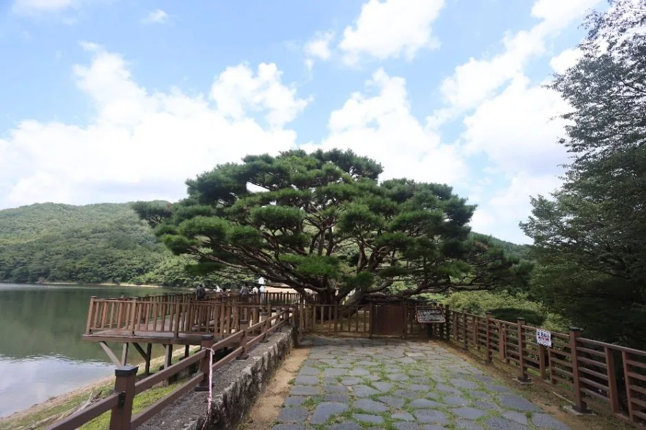 양산_법기수원지 (11)