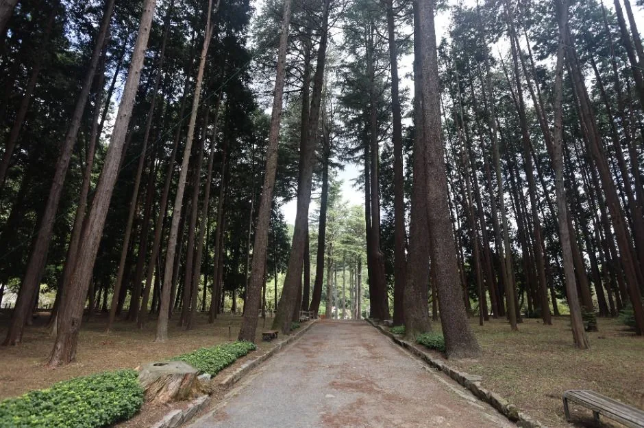 양산_법기수원지 (4)