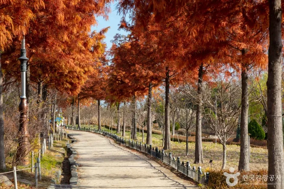 충청_대전_한밭수목원_외부_3.jpg