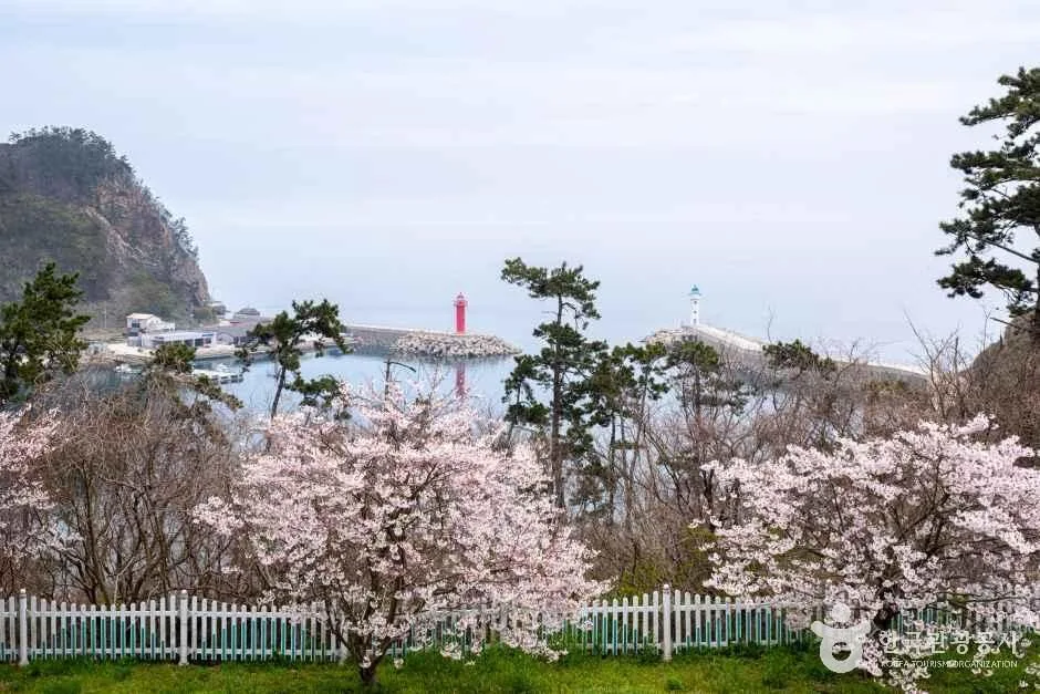 전북_군산_고군산섬잇길_외부_6.jpg