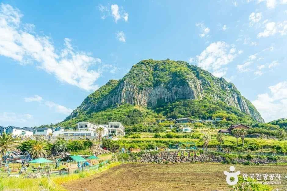 서귀포_산방산랜드 (5).jpg