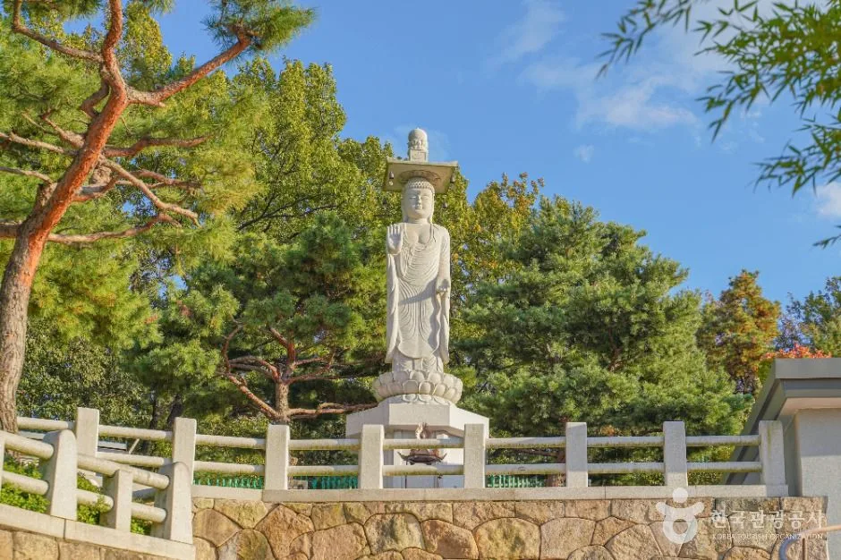 서울_달마사(서울) (3)