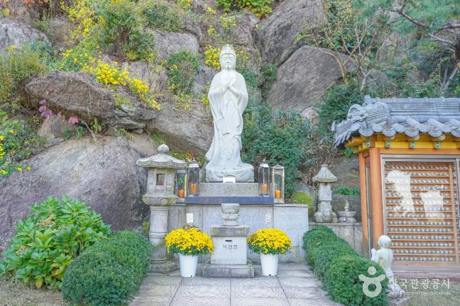 서울_달마사(서울) (7)