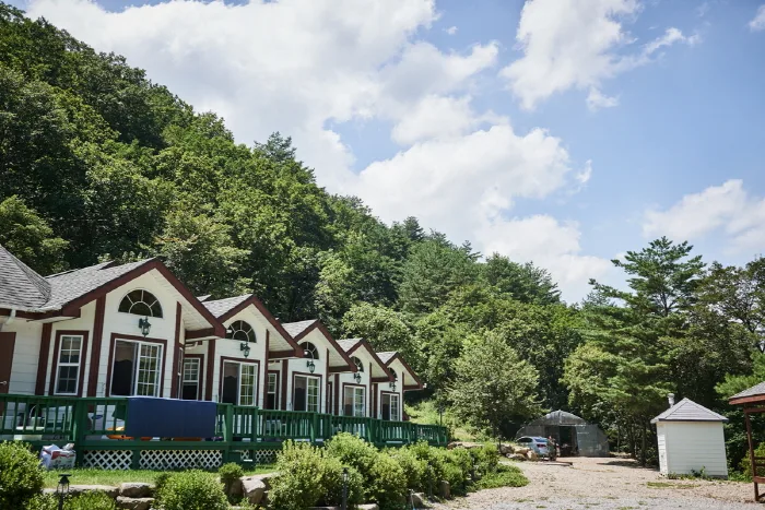 수림대마을