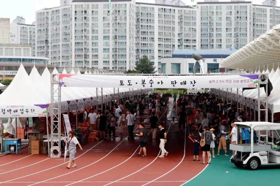 2025 향수 옥천 포도 복숭아축제 3