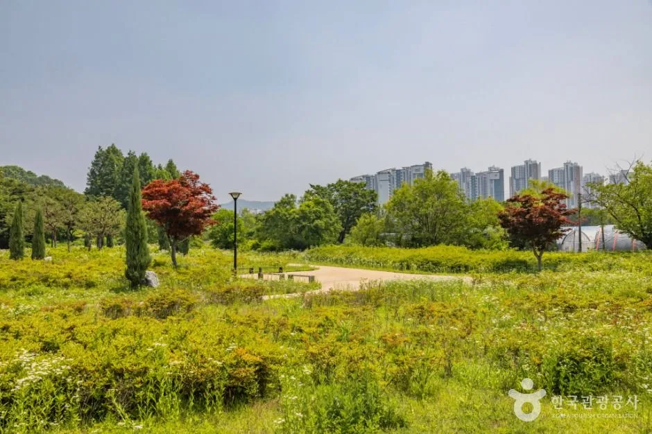 인천_연희공원 (7)