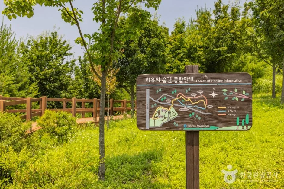 인천_연희공원 (4)