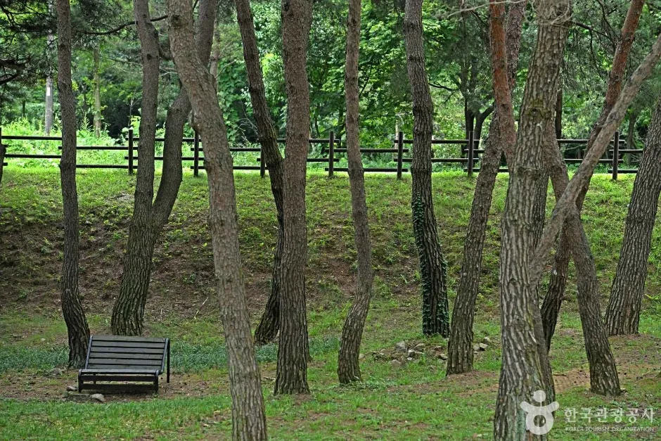 용두산 산림욕장 (4)