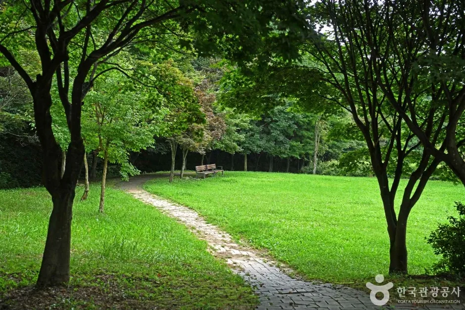 용두산 산림욕장 (5)