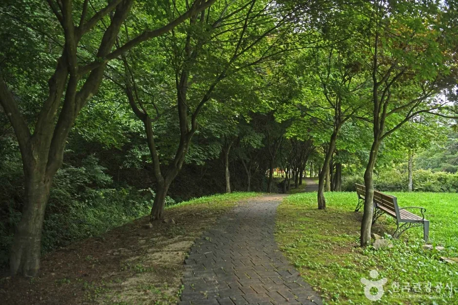 용두산 산림욕장 (7)