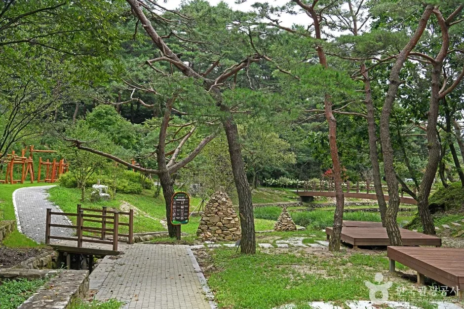 용두산 산림욕장 (3)