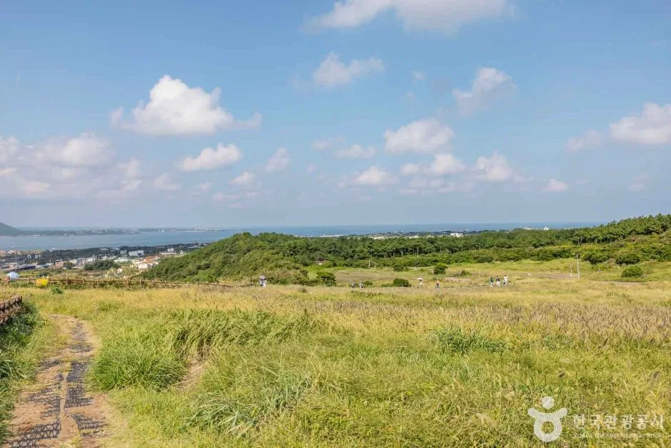 제주_우도마을 (7)