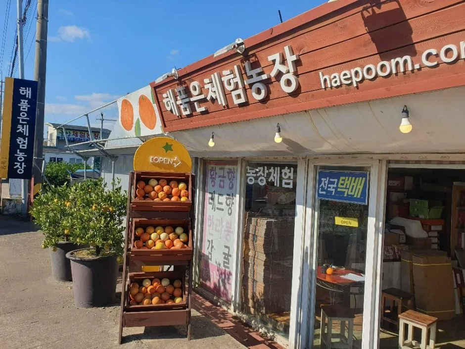 서귀포_해품은체험농장 (1)