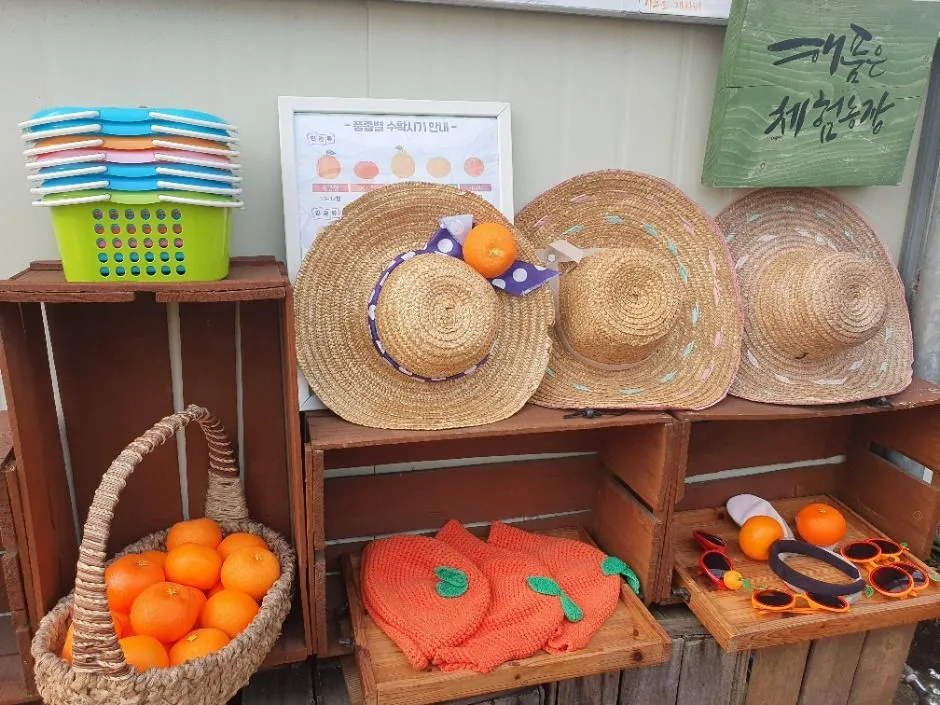 서귀포_해품은체험농장 (7)