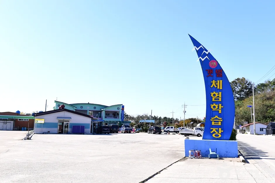 전북_고창_만돌갯벌체험학습장 (3)