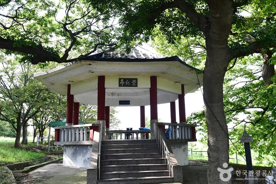 전남_영광_영광 법성진 숲쟁이 (3)