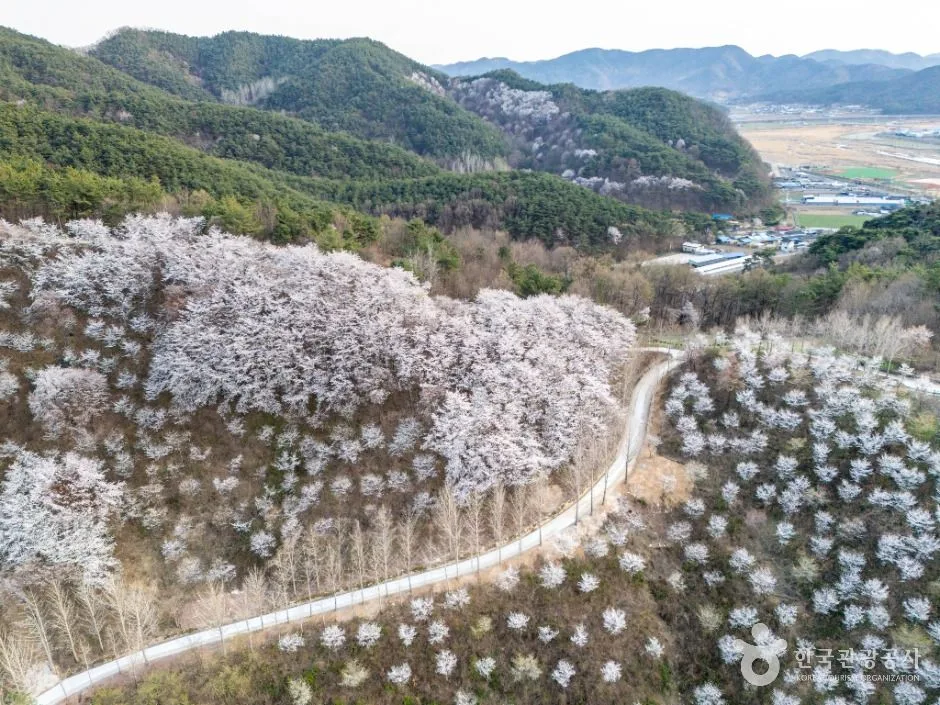 고령_대가야수목원 (2)