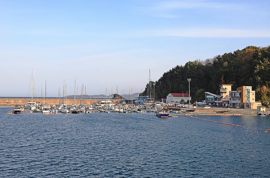 강원-양양=수산항 (5)