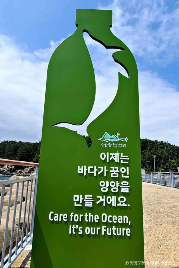 양양 수산항 (7)