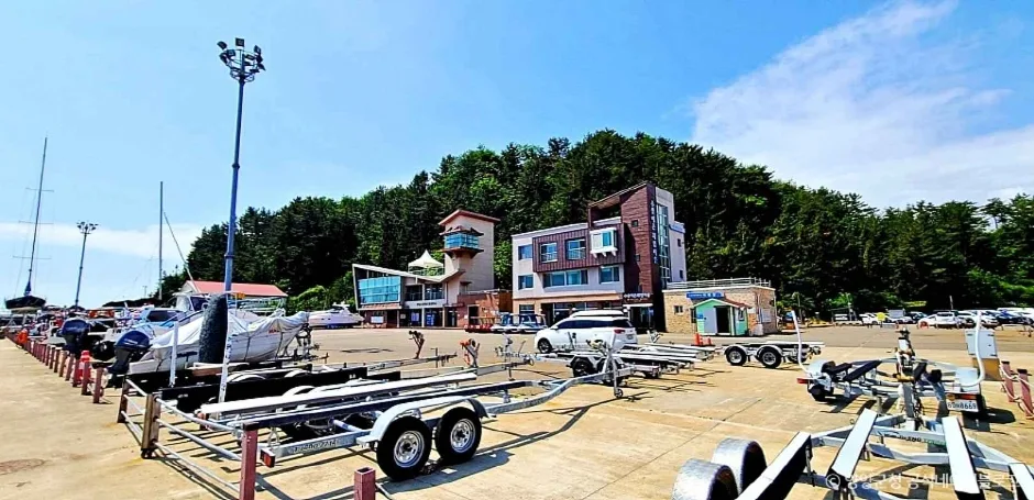 양양 수산항 (6)