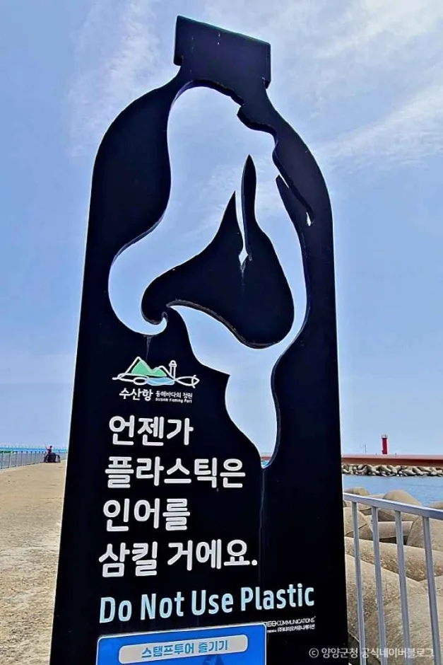 양양 수산항 (9)