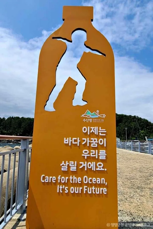양양 수산항 (13)