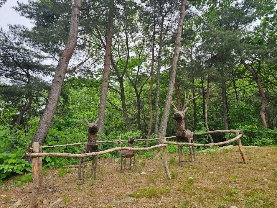 포천_천보산 자연휴양림 (1)