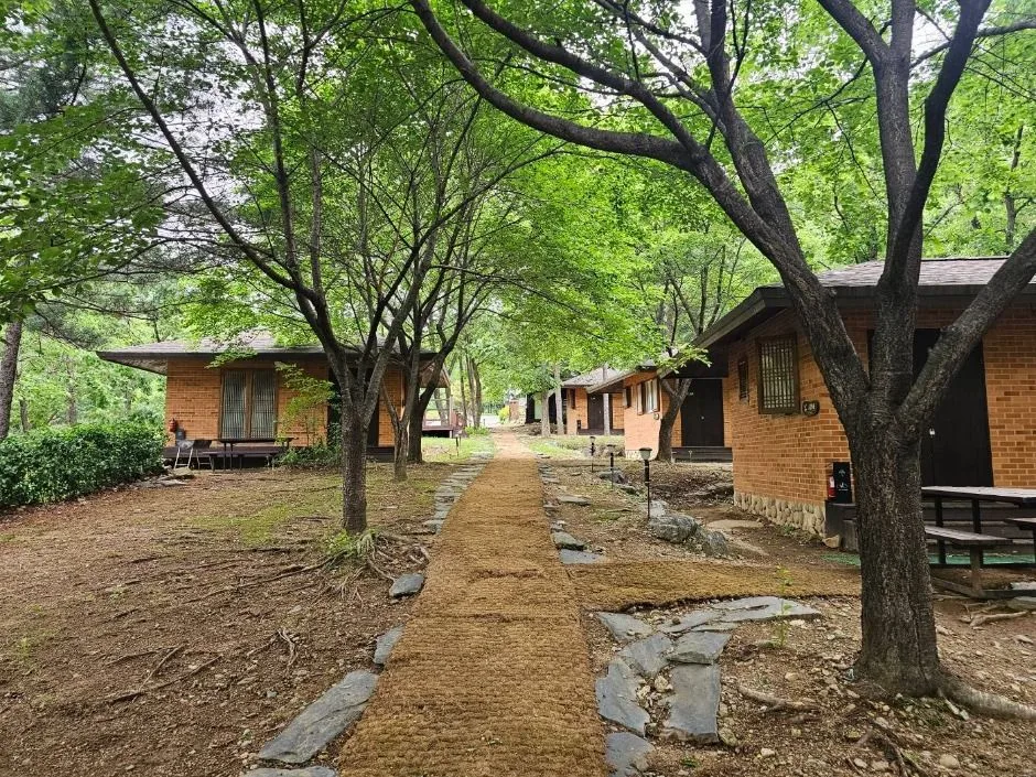 포천_천보산 자연휴양림 (14)