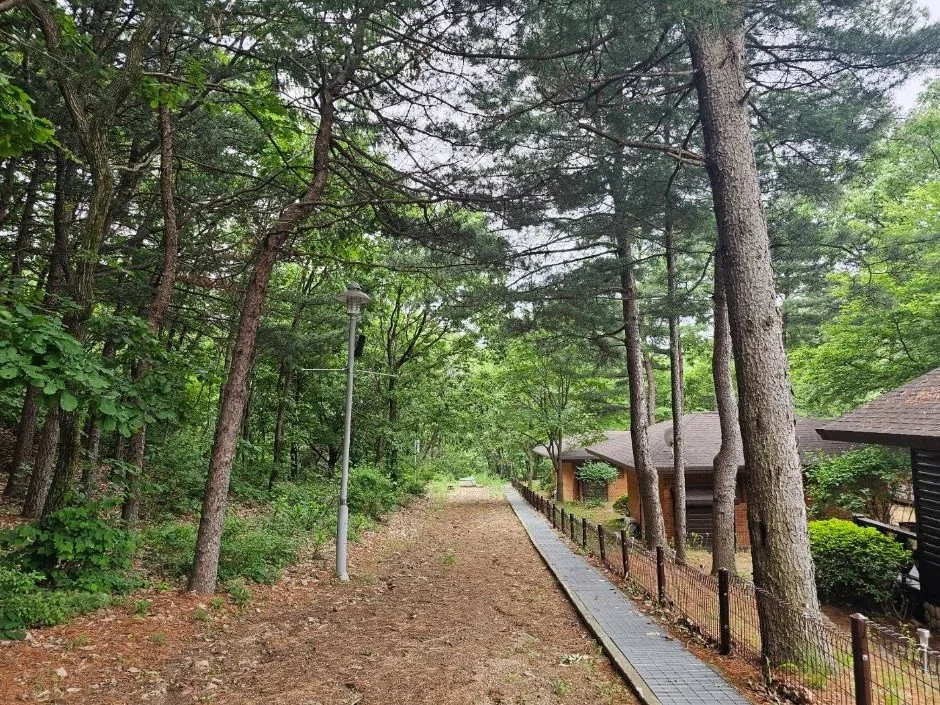 포천_천보산 자연휴양림 (4)