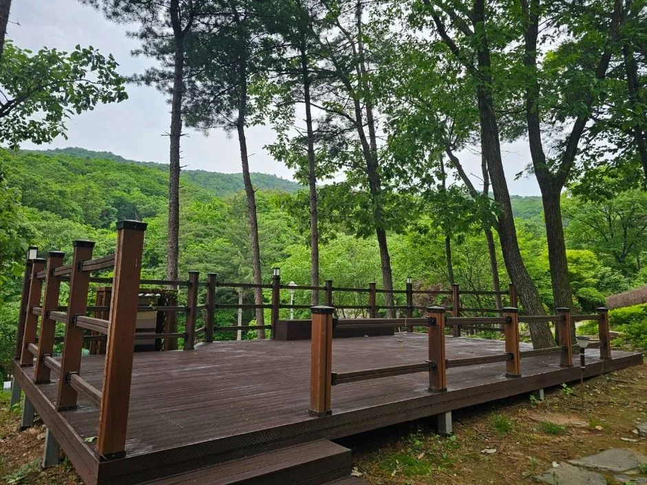 포천_천보산 자연휴양림 (17)
