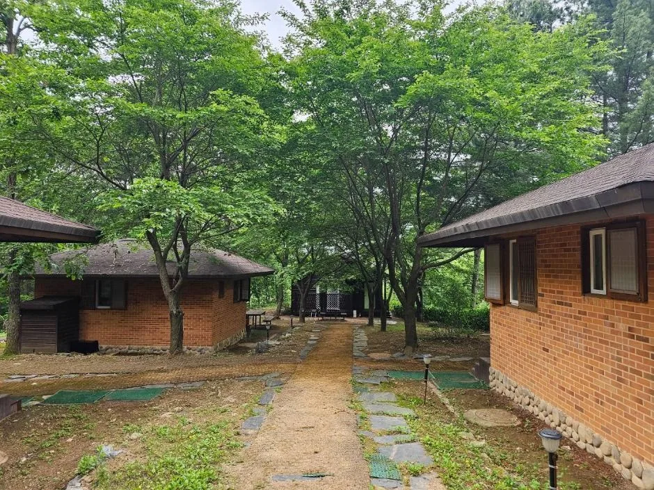 포천_천보산 자연휴양림 (7)