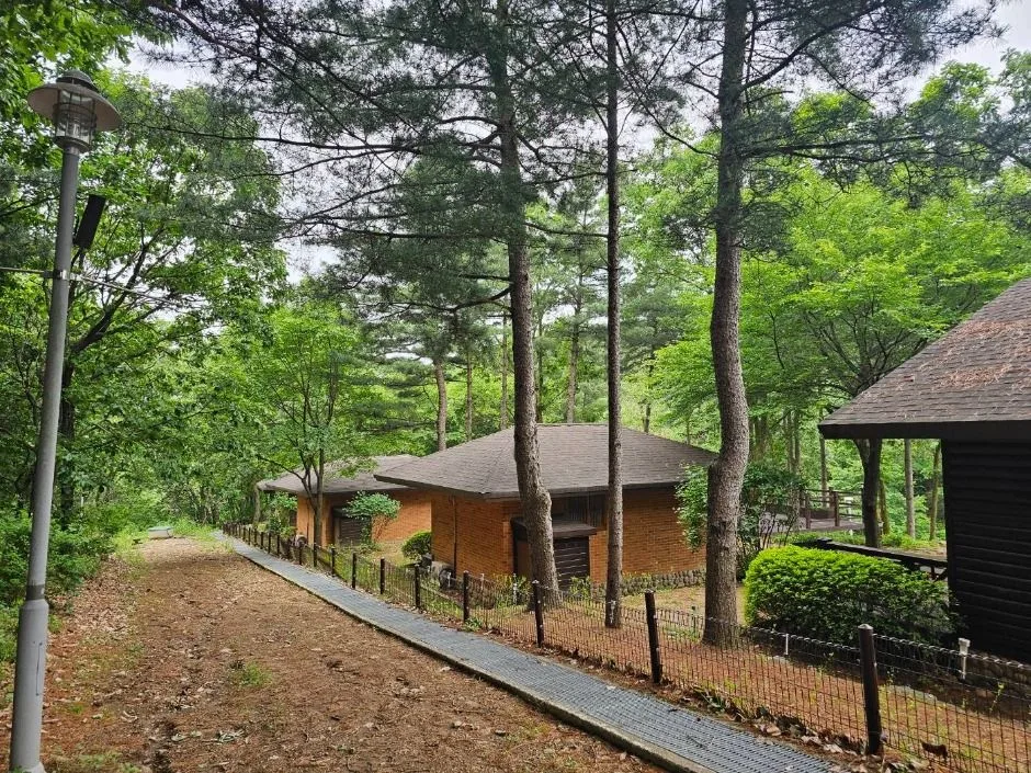 포천_천보산 자연휴양림 (6)