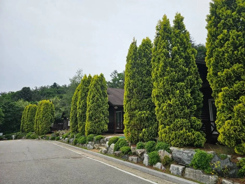 포천_천보산 자연휴양림 (12)