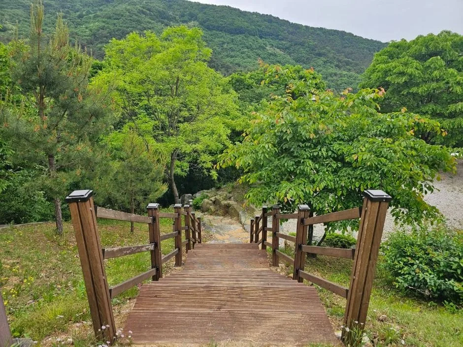 포천_천보산 자연휴양림 (9)