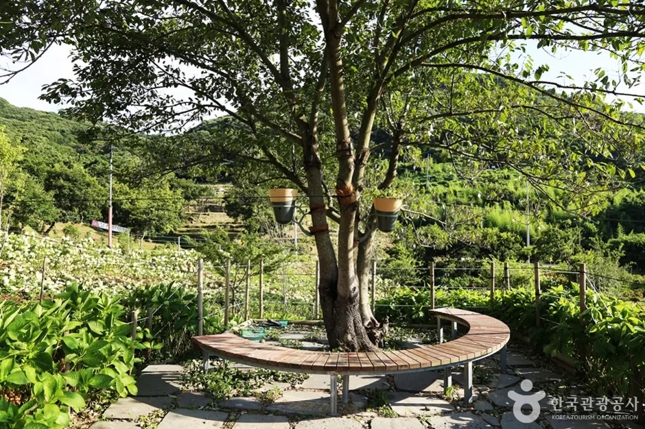 가덕도외양포전망대 (15)