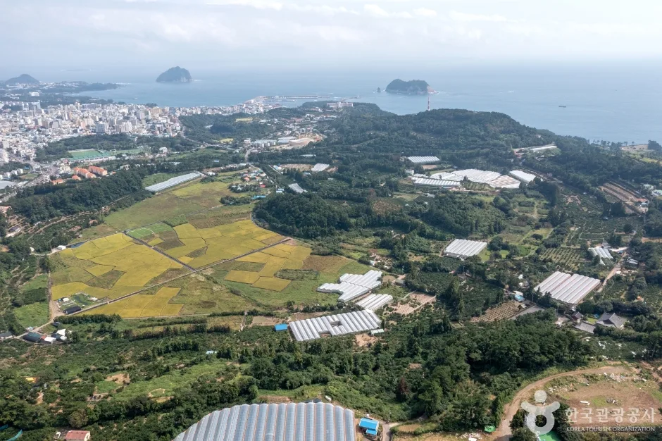 제주도_서귀포_서귀포 하논분화구 (3)