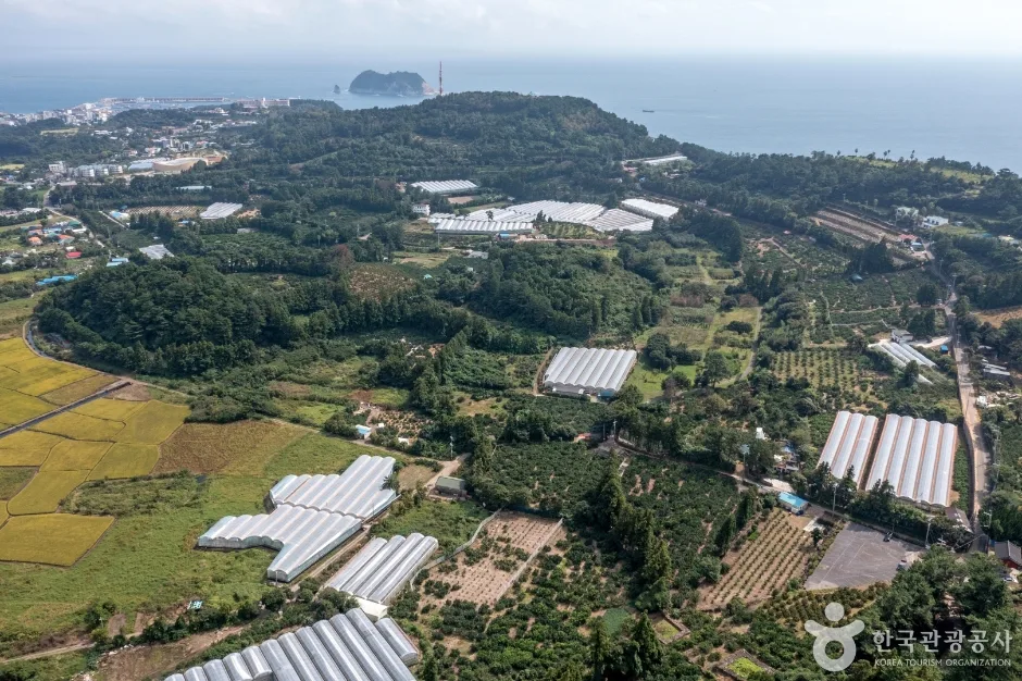제주도_서귀포_서귀포 하논분화구 (2)