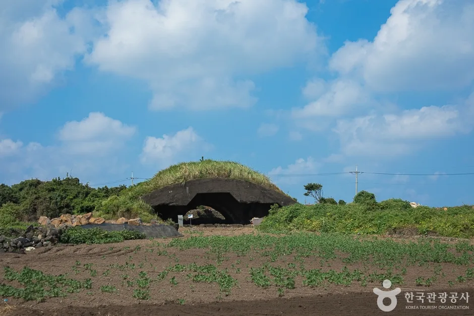 제주_서귀포_알뜨르비행장 및 일본군 비행기 격납고(14)