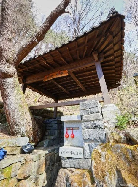 인제_방동약수 (4)