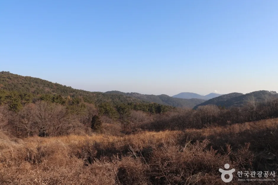 용골산 (7)