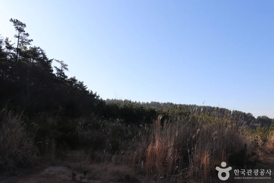 용골산 (6)