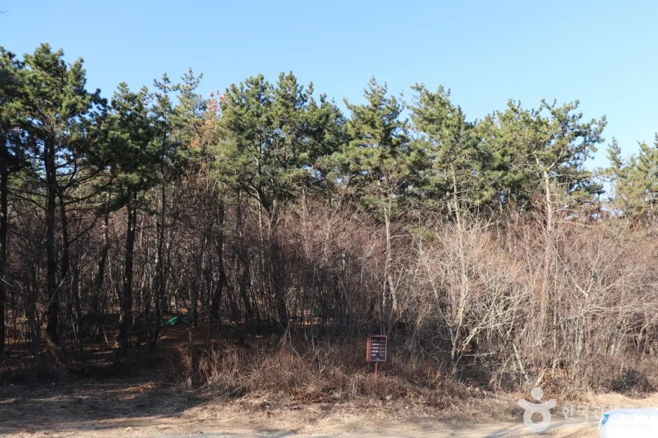 용골산 (5)