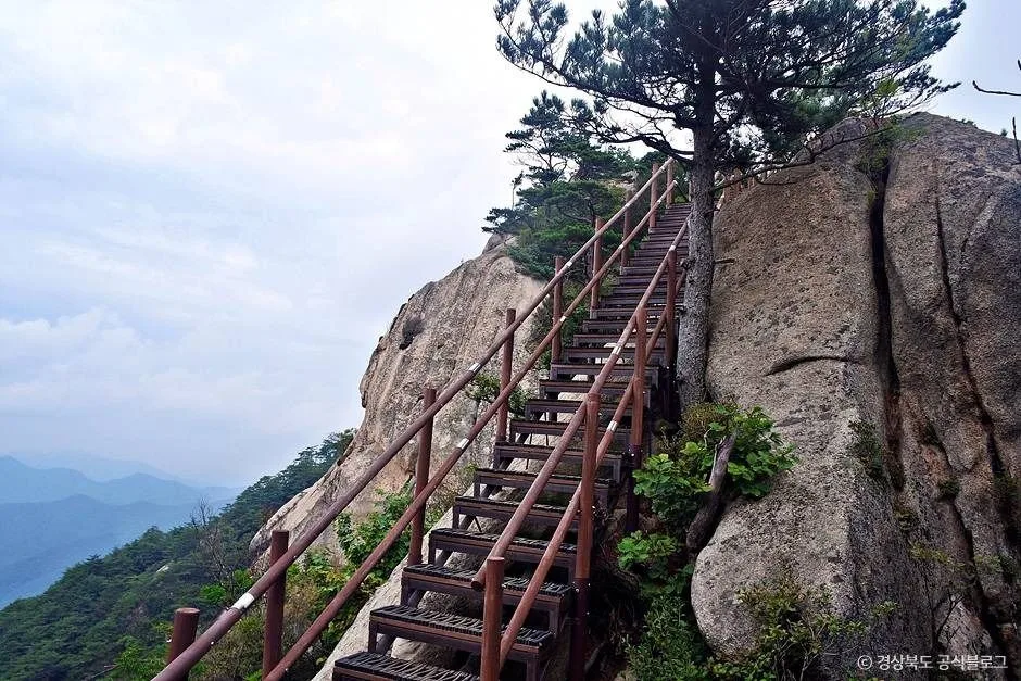문경_조령산 (10)